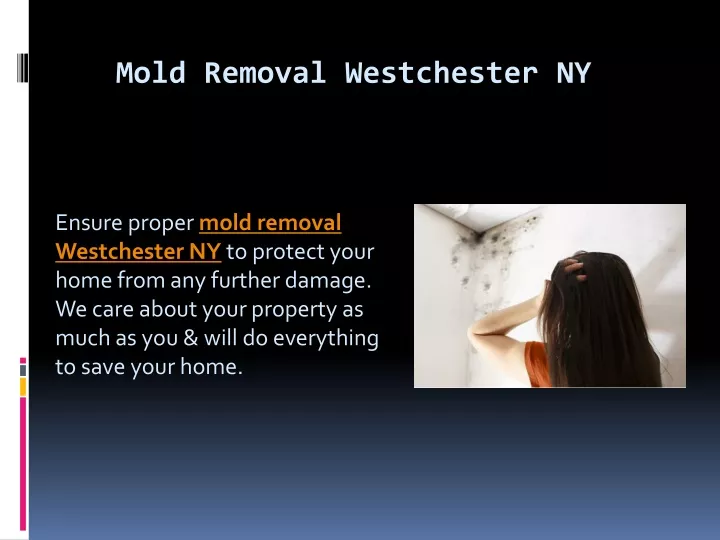 mold removal westchester ny