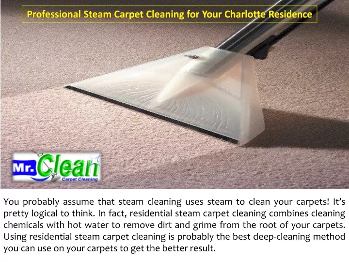 professional steam carpet cleaning for your