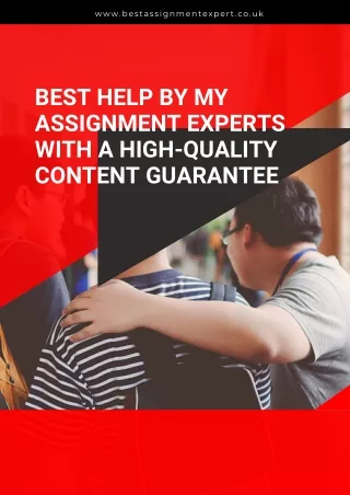 www bestassignmentexpert co uk