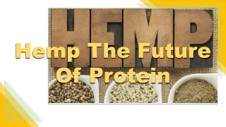 Hemp The Future Of Protein