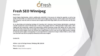 fresh seo winnipeg