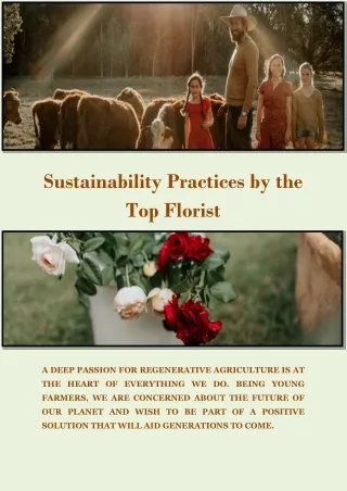 Sustainability Practices by the Top Florist