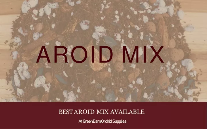 aroid mix