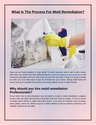 What Is The Process For Mold Remediation?