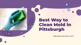 Best Way to Clean Mold in Pittsburgh - Pure Air Nation