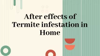 After effects of Termite infestaion in Home