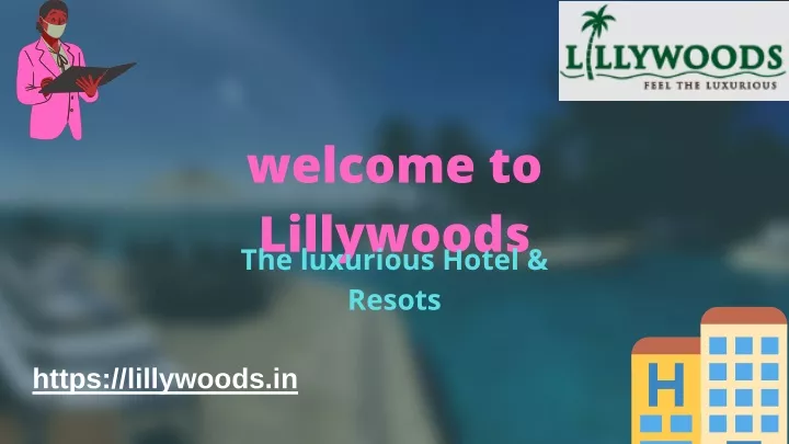 welcome to lillywoods