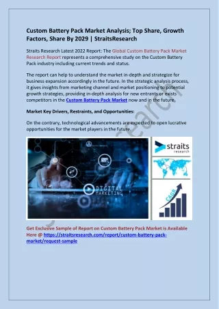 custom battery pack market analysis top share