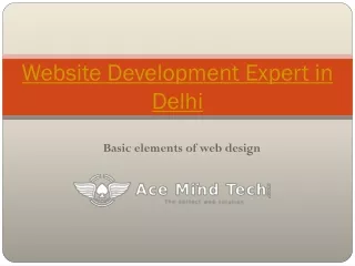 Website Development Expert in Delhi