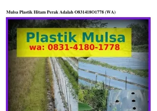 Mulsa Plastik Hitam Perak Adalah O831~Ꮞ18O~1ᜪᜪ8(whatsApp)