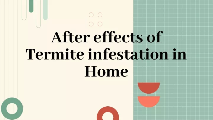 after effects of termite infestation in home