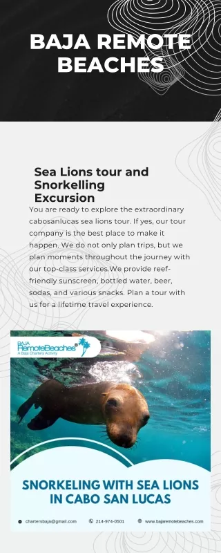 Sea Lions tour and Snorkelling Excursion