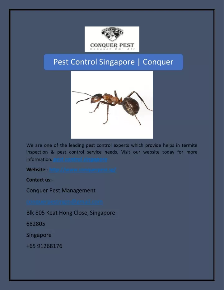 pest control singapore conquer pest