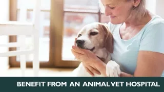 Benefit From  An  Animal Vet Hospital