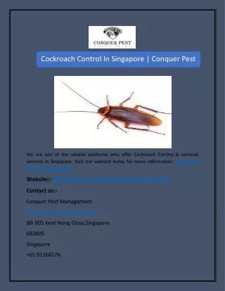 Cockroach Control In Singapore | Conquer Pest