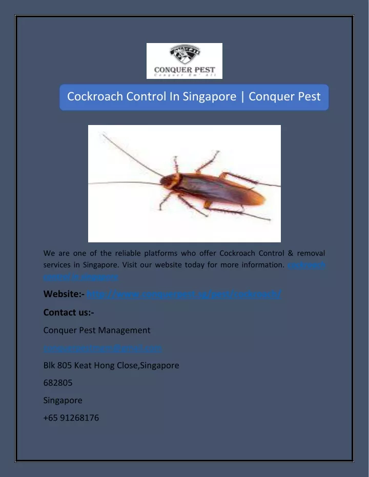 cockroach control in singapore conquer pest