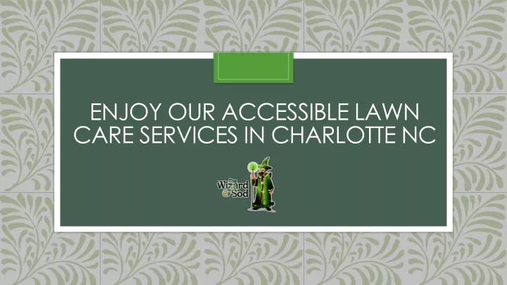 enjoy our accessible lawn care services in charlotte nc