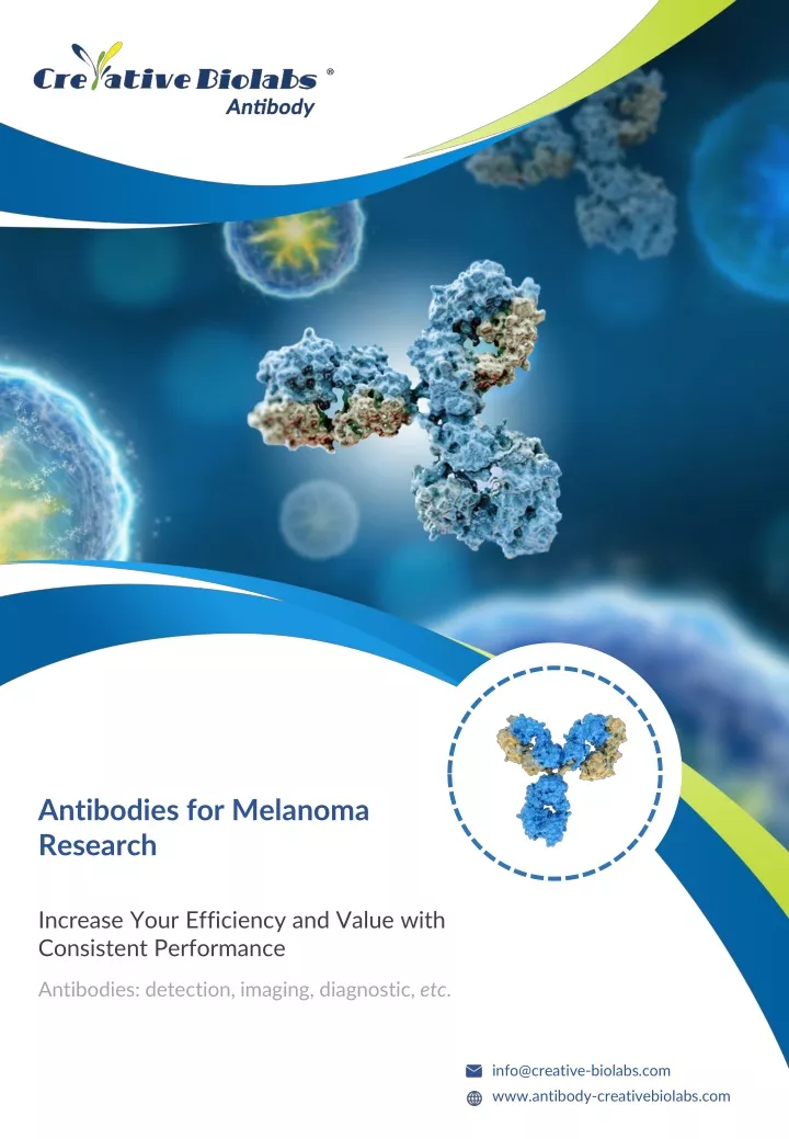 antibodies for melanoma research