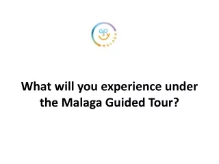 Malaga Guided Tour