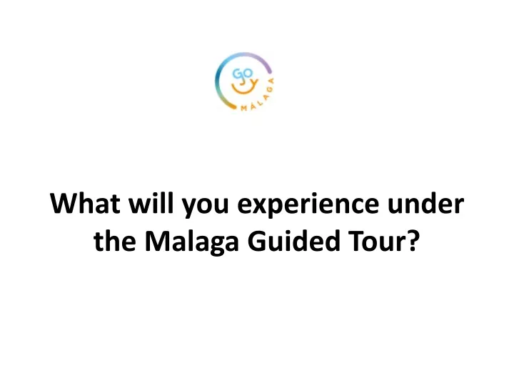 what will you experience under the malaga guided tour