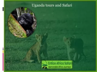 Uganda Tours and Safari