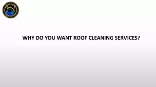 WHY DO YOU WANT ROOF CLEANING SERVICES?