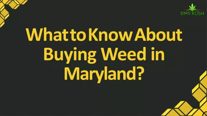 PPT - What To Know About Buying Weed In Maryland PowerPoint ...