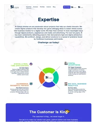 Digital marketing services Trinidad | Simply Intense