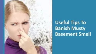 Useful Tips To Banish Musty Basement Smell