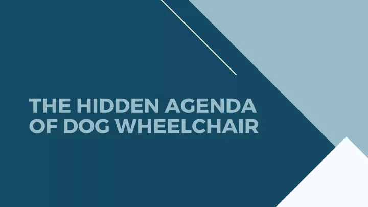 the hidden agenda of dog wheelchair