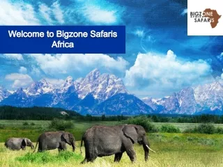 WELCOME TO BIGZONE SAFARIS