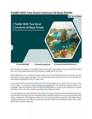 paddle with two great creatures at nusa penida