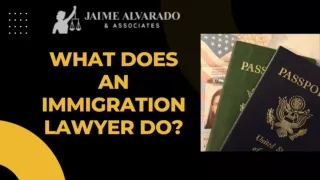 What does an immigration lawyer do