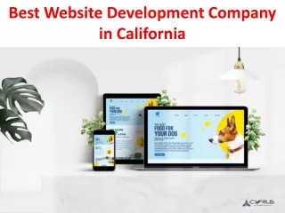 best website development company in california