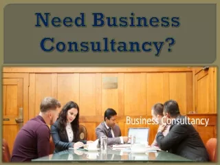Need Business Consultancy