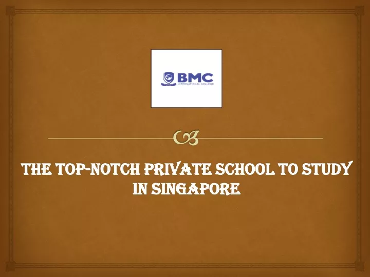 the top notch private school to study in singapore