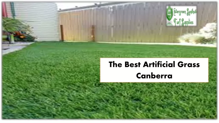 t he best artificial grass canberra