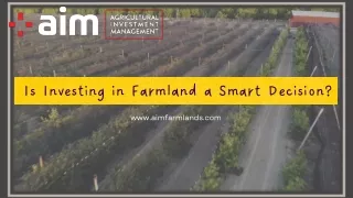 Is Investing in Farmland a Smart Decision