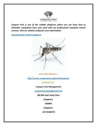 Mosquito Pest Control Singapore Conquer Pest