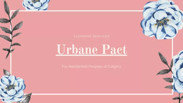 cleaning services urbane pact
