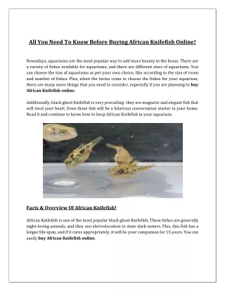 Buy African Knifefish Online in Michigan -Tank Dreams Online