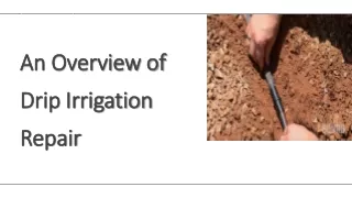 An Overview of Drip Irrigation Repair