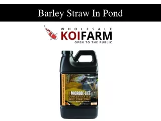Barley Straw In Pond