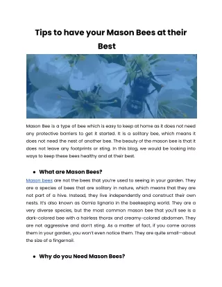 Tips to have your Mason Bees at their Best