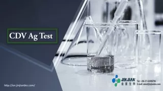 CDV Ag Test