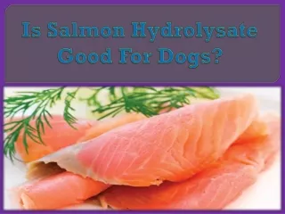 is salmon hydrolysate good for dogs