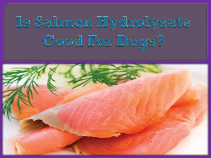is salmon hydrolysate good for dogs