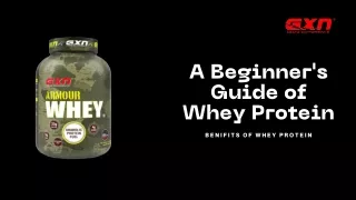 Buy Armour Whey Online to Make Bones Strong | GXN