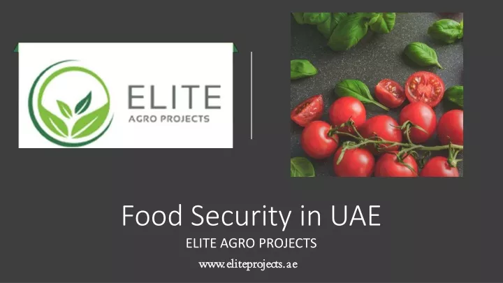 food security in uae elite agro projects