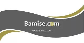 www bamise com